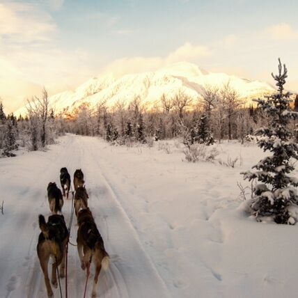 Abwechslungsreiches Wintererlebnis im Yukon